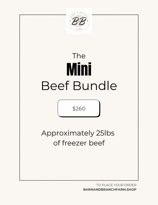 The Mini Beef Bundle ~25lbs
